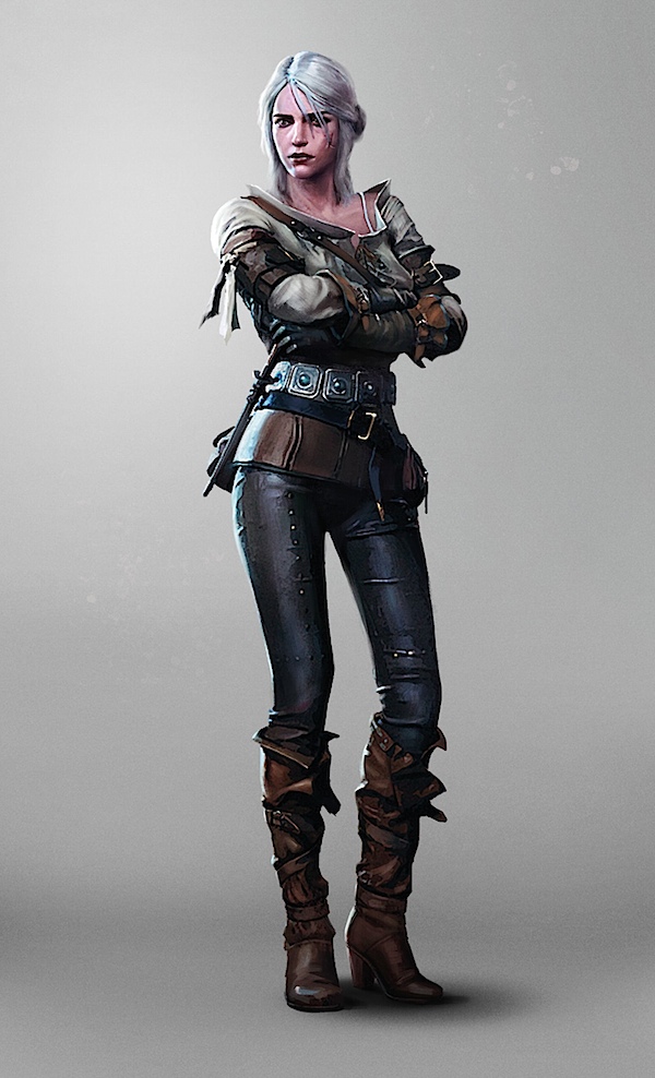 The witcher 3 Whild Hunt