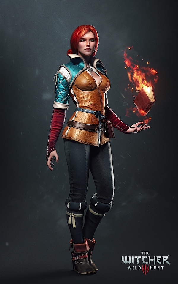 The witcher 3 Whild Hunt