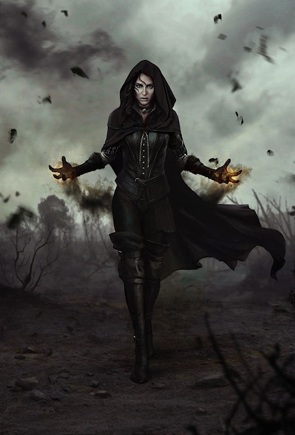 The witcher 3 Whild Hunt